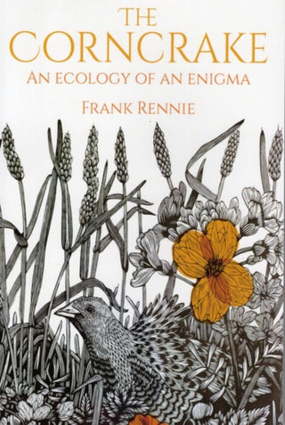 Cover image for 9781849955027 - The Corncrake