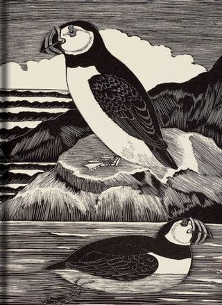 Cover image for 9781851245680 - Birds Journal