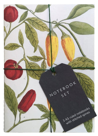 Cover image for 9781851245697 - Botanical Art Notebook Set