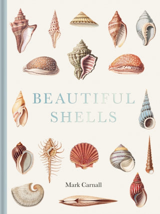 Cover image for 9781851246168 - Beautiful Shells