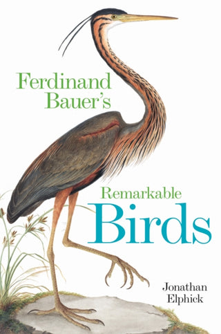 Cover image for 9781851246250 - Ferdinand Bauer's Remarkable Birds