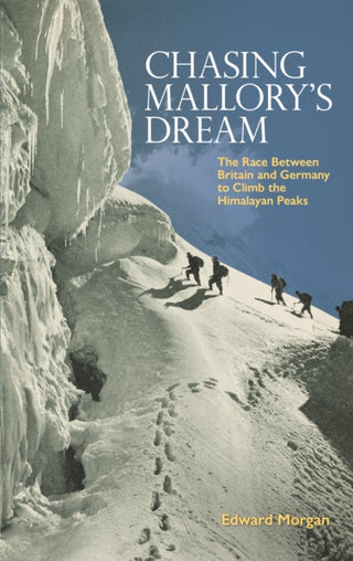Cover image for 9781851246618 - Chasing Mallory's Dream