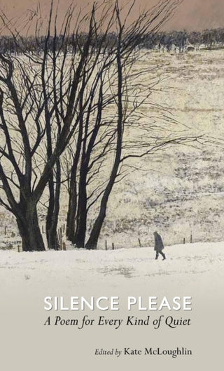 Cover image for 9781851246717 - Silence Please