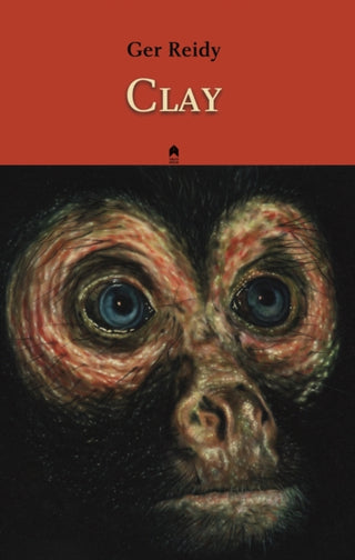 Cover image for 9781851323180 - Clay