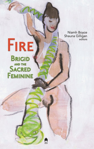 Cover image for 9781851323289 - Fire