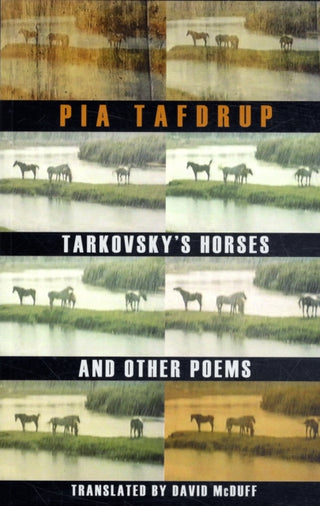 Cover image for 9781852248376 - Tarkovsky's Horses and other poems