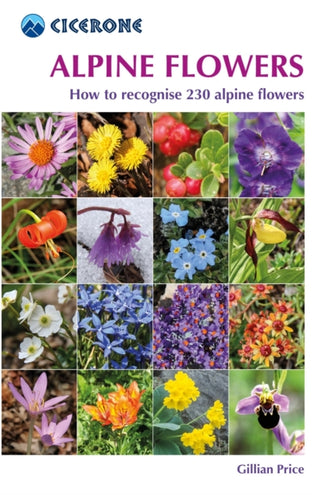 Cover image for 9781852845650 - Alpine Flowers