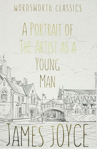 Cover image for 9781853260063 - A Portrait of the Artist as a Young Man