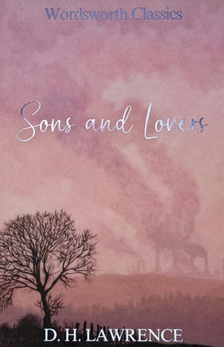 Cover image for 9781853260476 - Sons and Lovers
