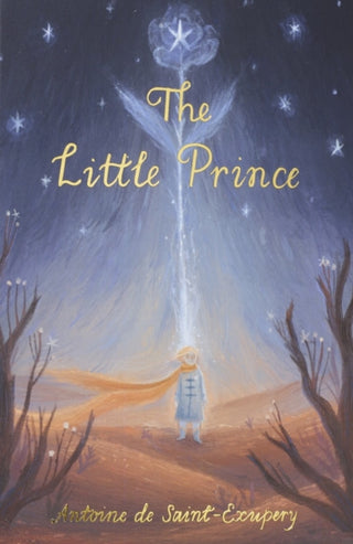 Cover image for 9781853261589 - The Little Prince