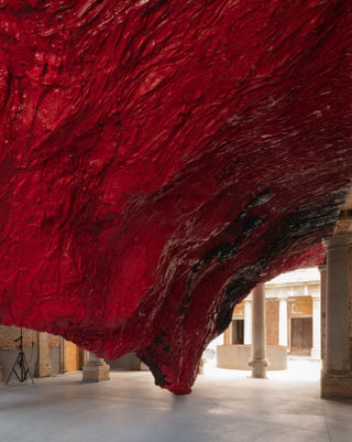 Cover image for 9781853323874 - Anish Kapoor