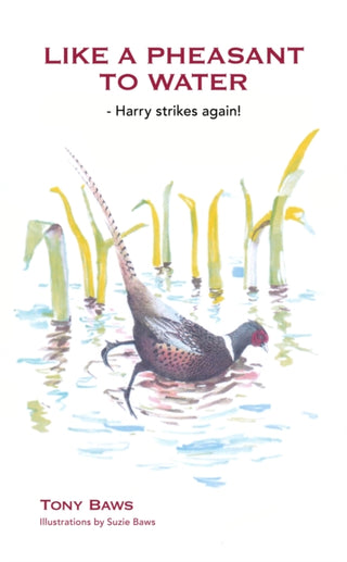Cover image for 9781853982125 - Like a Pheasant to Water