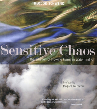 Cover image for 9781855843943 - Sensitive Chaos