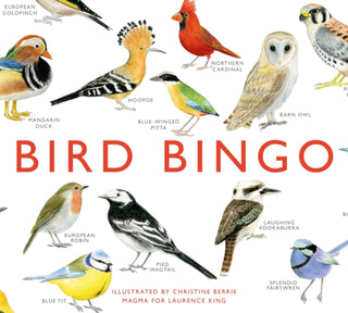 Cover image for 9781856699174 - Bird Bingo