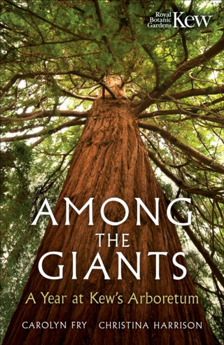 Cover image for 9781856755672 - Among the Giants