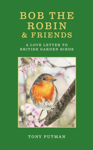 Cover image for 9781856756051 - Bob the Robin & Friends