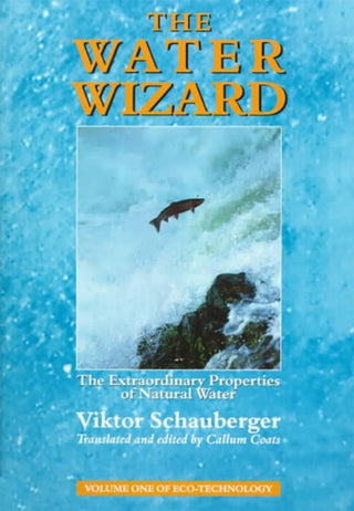 Cover image for 9781858600482 - The Water Wizard