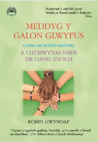 Cover image for 9781859949429 - Meddyg y Galon Glwyfus - Gofal am Iechyd Meddwl a Chymwynas Fawr Dr David Enoch