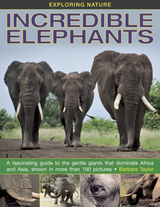 Supplemental image for 9781861473288 - Exploring Nature: Incredible Elephants