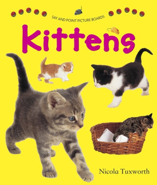 Cover image for 9781861473844 - Say and Point Picture Boards: Kittens