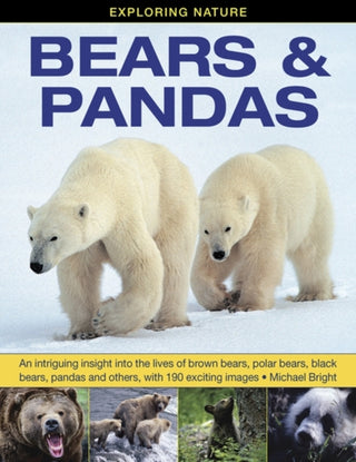 Cover image for 9781861473899 - Exploring Nature: Bears & Pandas