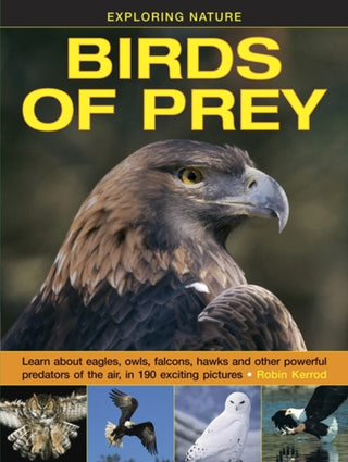 Cover image for 9781861474834 - Exploring Nature: Birds of Prey
