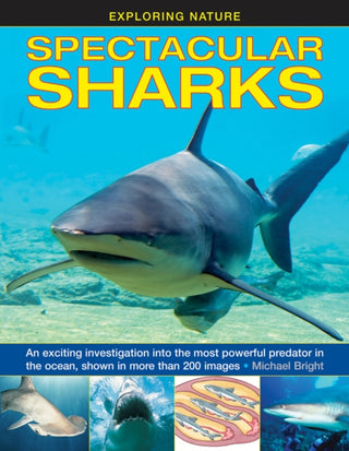 Cover image for 9781861474964 - Exploring Nature: Spectacular Sharks