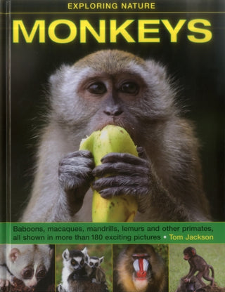 Cover image for 9781861474971 - Exploring Nature: Monkeys