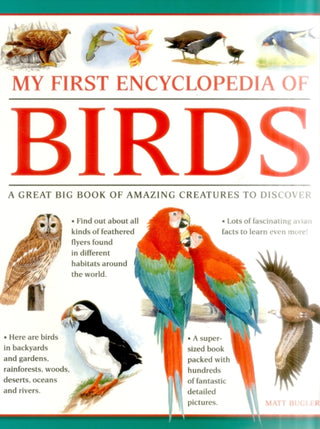 Cover image for 9781861478214 - My First Encylopedia of Birds (giant Size)