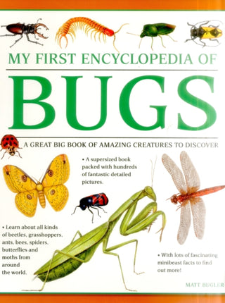 Cover image for 9781861478238 - My First Encyclopedia of Bugs (giant Size)