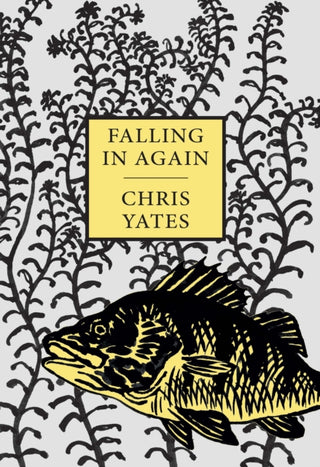Cover image for 9781873674338 - Falling in Again