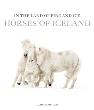 Cover image for 9781875498420 - In the Land of Fire and Ice