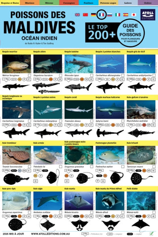 Cover image for 9781876410100 - Maldives Guide Des Poissons