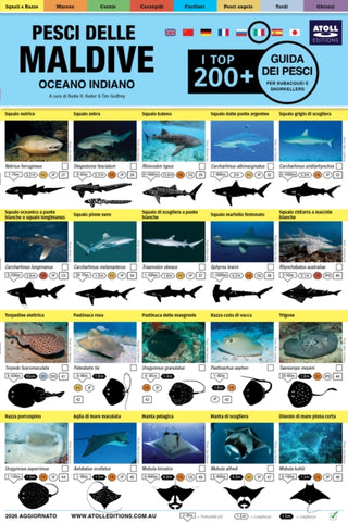 Cover image for 9781876410117 - Maldive Guida Dei Pesci
