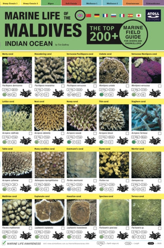 Cover image for 9781876410209 - Maldives Marine Life Field Guide