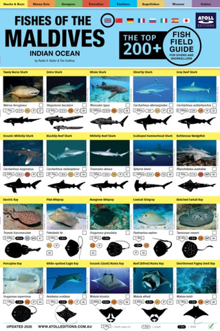 Cover image for 9781876410278 - Maldives Fish Field Guide "Top 200+"