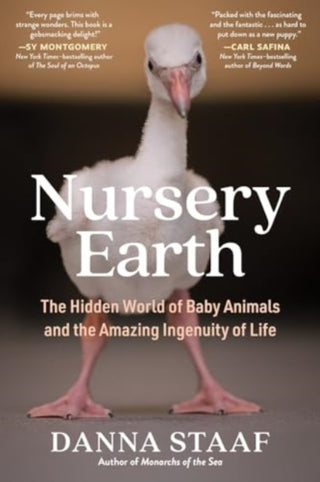 Cover image for 9781891011719 - Nursery Earth