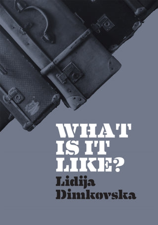 Cover image for 9781903110829 - What Is It Like?