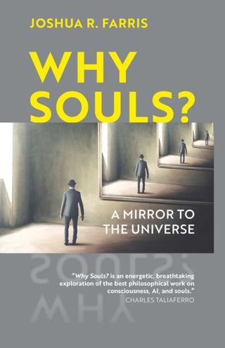 Cover image for 9781903816417 - Why Souls?