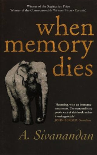 Cover image for 9781905147595 - When Memory Dies