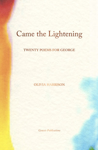 Cover image for 9781905662739 - Came the Lightening