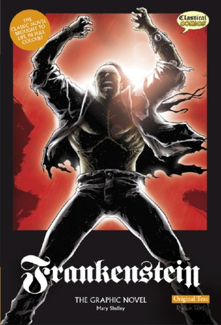 Cover image for 9781906332150 - Frankenstein (Original text)