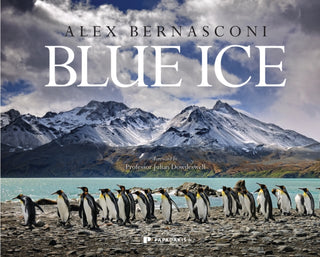 Cover image for 9781906506582 - Blue Ice