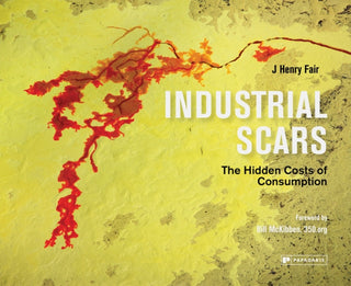 Cover image for 9781906506704 - Industrial Scars