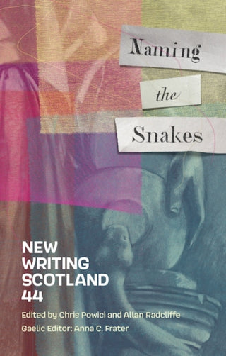 Cover image for 9781906841683 - Naming the Snakes