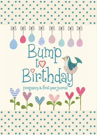 Cover image for 9781907048418 - Bump to Birthday, Pregnancy & First Year Journal