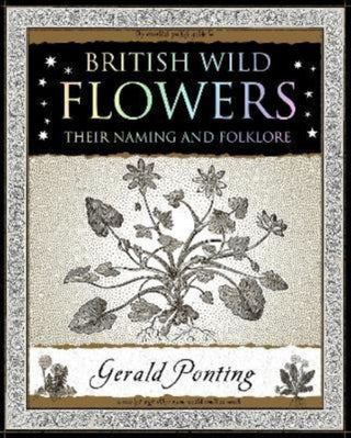 Cover image for 9781907155420 - British Wild Flowers