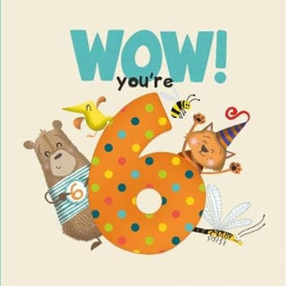Supplemental image for 9781907860416 - WOW! You're Six birthday book