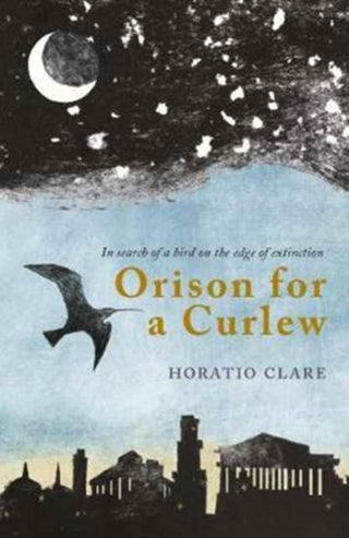 Cover image for 9781908213570 - Orison for a Curlew