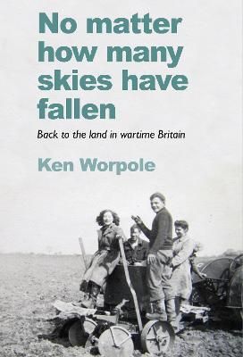 Cover image for 9781908213860 - No Matter How Many Skies Have Fallen